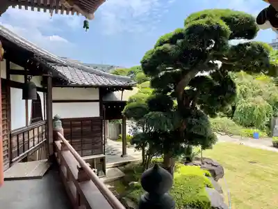 金藏院(神奈川県)