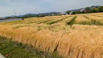 丹波国分尼寺跡(御上人林廃寺)(京都府)