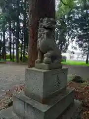 浅間神社の狛犬