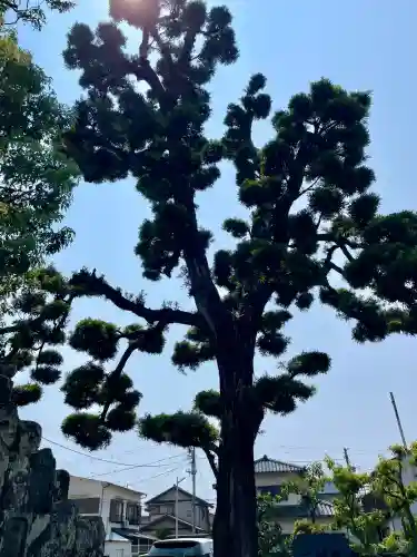 長円寺(静岡県)