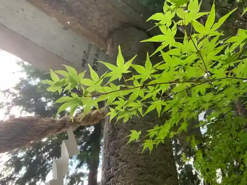 滑川神社 - 仕事と子どもの守り神の建物その他