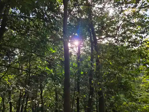 天皇社(大神神社末社)(奈良県)