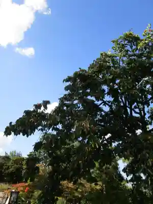 大安寺(奈良県)