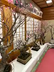 菅原天満宮（菅原神社）(奈良県)