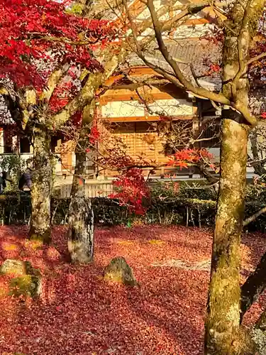 永源寺の建物その他