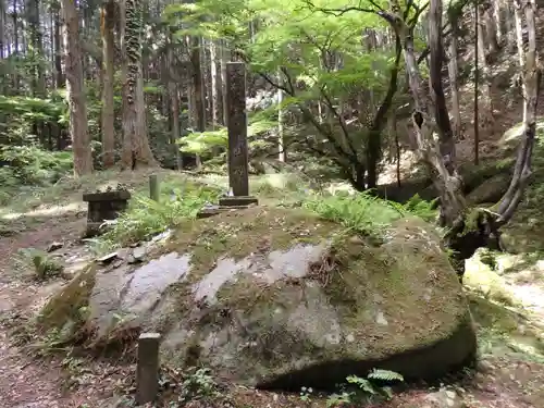 名草厳島神社の自然