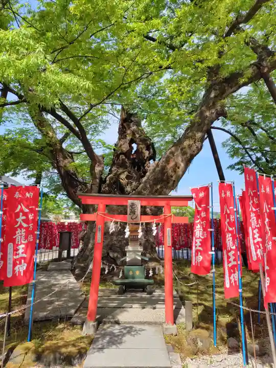 秩父今宮神社(埼玉県)