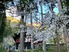 清水寺(長野県)