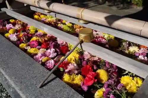 豊景神社の手水