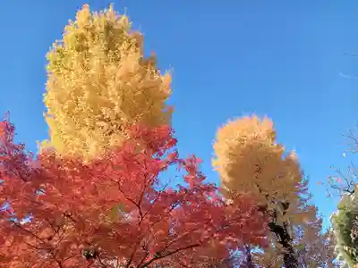 四天王寺(大阪府)