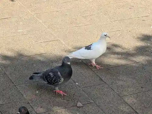 池袋水天宮(東京都)