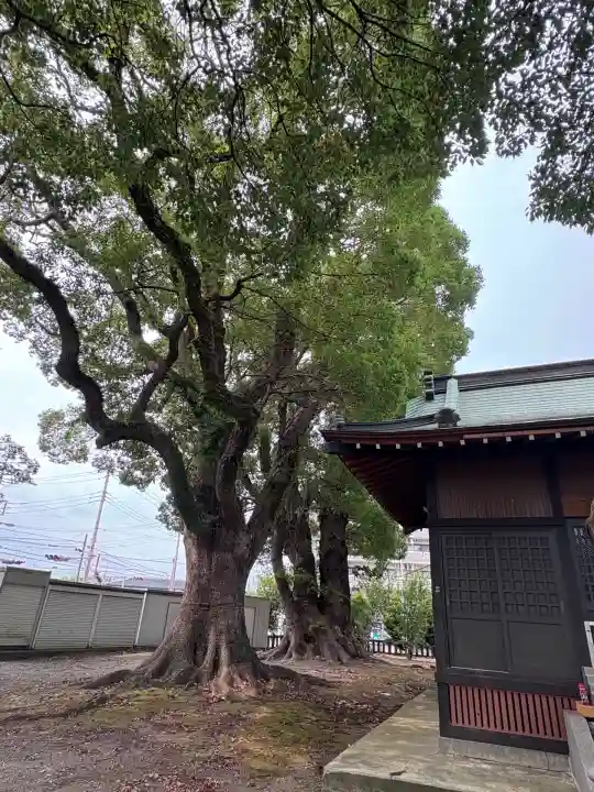 八幡神社(静岡県)