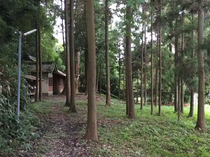 下立松原神社の自然