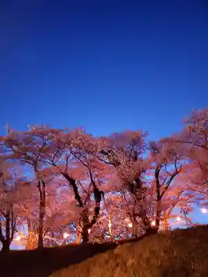 瀧桜神明宮(福島県)