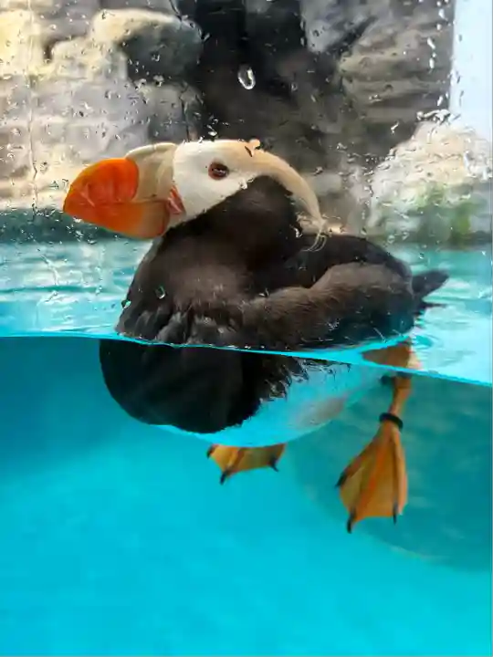 大洗磯前神社(茨城県)