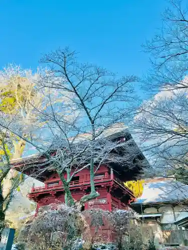 清水寺の{uncategorized: "未分類", other: "その他", undefined: "問題あり", building: "その他建物", grave: "お墓", sacred_gate: "鳥居", guardian: "狛犬", statue: "像", buddha: "仏像", history: "歴史", nature: "自然", garden: "庭園", animal: "動物", pagoda: "塔", temizu: "手水舎", mountain_gate: "山門・神門", sanctuary: "本殿・本堂", subordinate: "末社・摂社", art: "芸術", scenery: "景色", jizo: "地蔵", ema: "絵馬", goshuin: "御朱印", omikuji: "おみくじ", items: "授与品その他", amulet: "お守り", goshuincho: "御朱印帳", eats: "食事", festival: "お祭り", votive_dance: "神楽", shichigosan: "七五三参", wedding: "結婚式", experience: "体験その他", initially: "初詣", around: "周辺", anti_infection: "感染症対策"}
