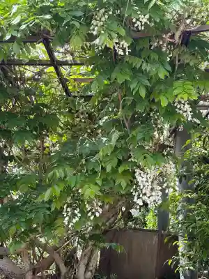 新善光寺の{uncategorized: "未分類", other: "その他", undefined: "問題あり", building: "その他建物", grave: "お墓", sacred_gate: "鳥居", guardian: "狛犬", statue: "像", buddha: "仏像", history: "歴史", nature: "自然", garden: "庭園", animal: "動物", pagoda: "塔", temizu: "手水舎", mountain_gate: "山門・神門", sanctuary: "本殿・本堂", subordinate: "末社・摂社", art: "芸術", scenery: "景色", jizo: "地蔵", ema: "絵馬", goshuin: "御朱印", omikuji: "おみくじ", items: "授与品その他", amulet: "お守り", goshuincho: "御朱印帳", eats: "食事", festival: "お祭り", votive_dance: "神楽", shichigosan: "七五三参", wedding: "結婚式", experience: "体験その他", initially: "初詣", around: "周辺", anti_infection: "感染症対策"}