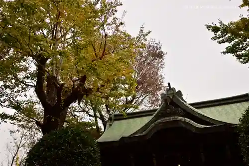 小野照崎神社のその他建物