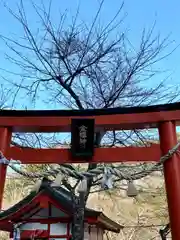 金櫻神社(山梨県)