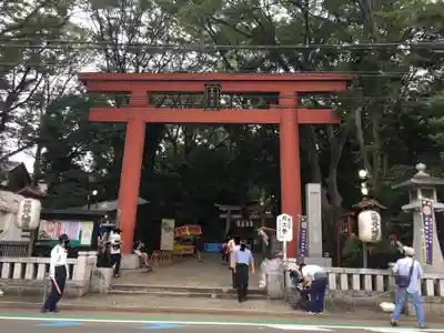 世田谷八幡宮の鳥居