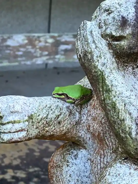 興禅寺(和歌山県)