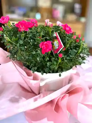 飯笠山神社(長野県)