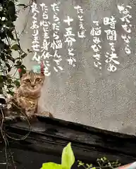 専念寺(大阪府)