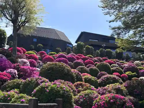 根津神社(東京都)