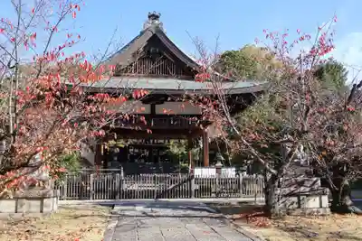 新日吉神宮(京都府)