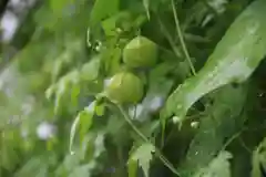 高司神社〜むすびの神の鎮まる社〜の庭園