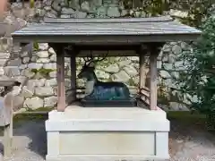 吉田神社の狛犬