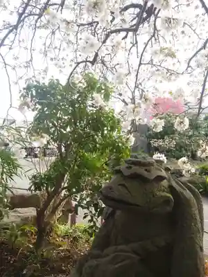 常泉寺(神奈川県)