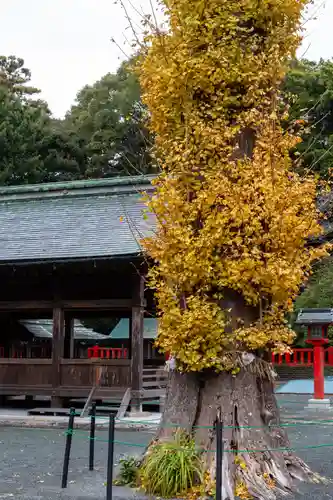 宗像大社中津宮(福岡県)