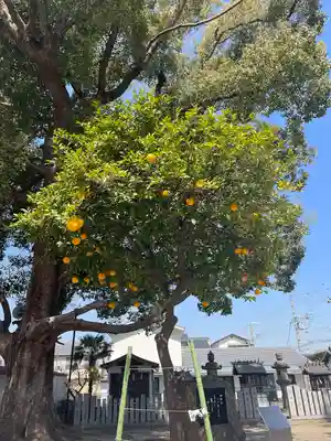 深江稲荷神社(大阪府)