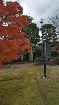 妙顯寺（妙顕寺）(京都府)