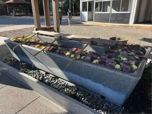 射水神社(富山県)