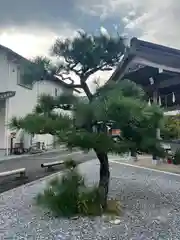 眞中神社(岐阜県)