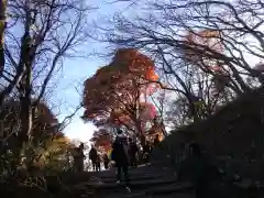 筑波山神社 男体山御本殿の自然