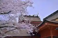 富士山本宮浅間大社(静岡県)