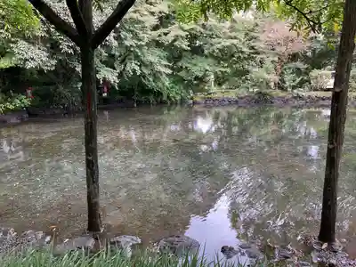 富士山本宮浅間大社(静岡県)