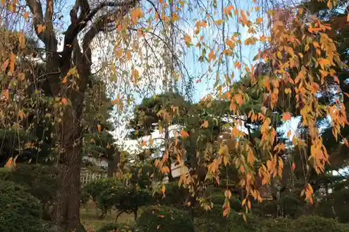 開成山大神宮の自然