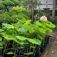 長昌寺(東京都)