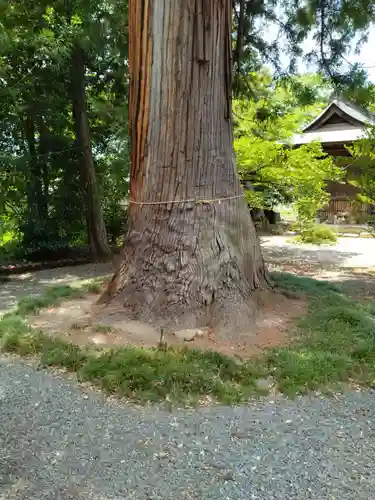 諏訪神社(福島県)