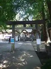 下野 星宮神社の鳥居