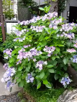 弥勒寺(東京都)