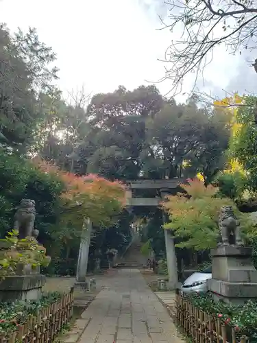 赤坂氷川神社の鳥居