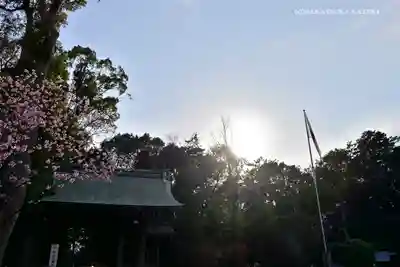 寒川神社のその他建物
