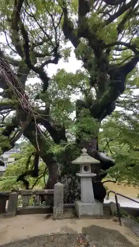 與止日女神社の自然