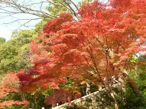 神護寺(京都府)
