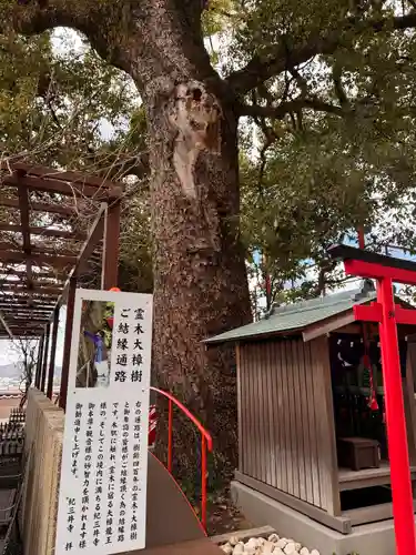 金剛宝寺（紀三井寺）(和歌山県)